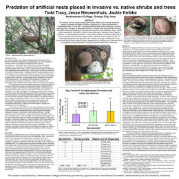 Predation of artificial nests placed in native vs. invasive shrubs