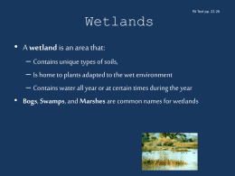 PA Wetlands POWERPOINT
