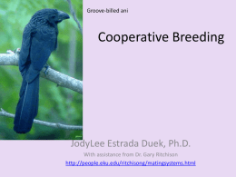 Cooperative Breeding - Ecology and Evolutionary Biology