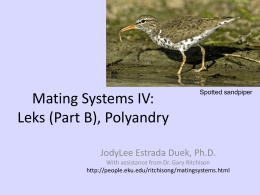 Mating Systems IV: Leks B, Polyandry