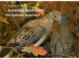 Biodiversity & Fragile Ecosystems