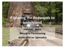 Exploring the Redwoods to understand - U