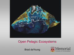 Dynamics and Structure of Pelagic Ecosystems