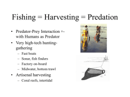 Fishing Methods Catch and Bycatch