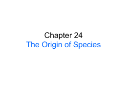 Chapter 24 PowerPoint - The Origin of Species
