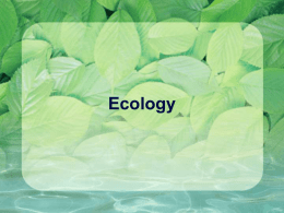 Ecology - bulldog biology