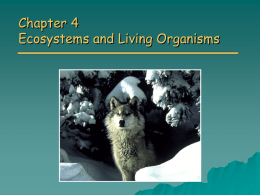 CH 4 Ecosystems & Organisms