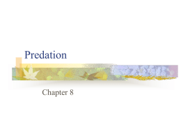 Predation & Grazing