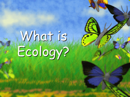Ecology (without Biomes)