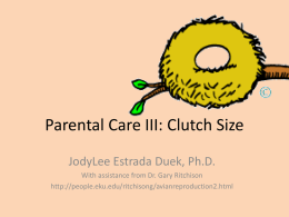 Parental Care III: Clutch Size