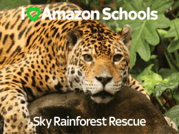 Assembly - Sky Rainforest Rescue