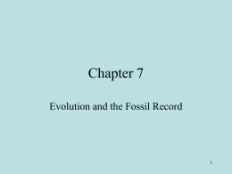 Chapter 7-Evolution