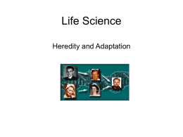 Core Content: Heredity and Adaptation In