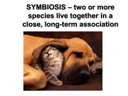 SYMBIOSIS – two or more species live together in a close, long