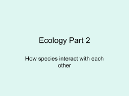 Ecology Part 2
