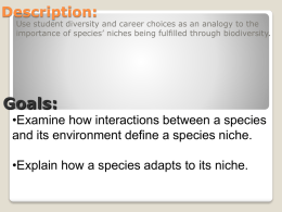 Species Niche and Biodiversity