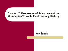 Chapter 7, Processes of Macroevolution