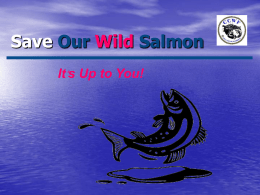 Save Our Wild Salmon