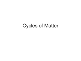 Cycles of Matter PPT
