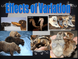 Effects of Variation