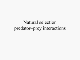 Natural selection and predator –prey interactions