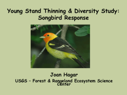 Young Stand Thinning and Diversity Study: Songbird