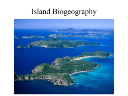 Continue Extinction and Island Biogeography