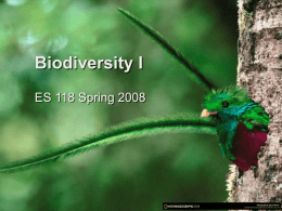 Feb. 25th - Biodiversity I