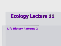 Ecology Lecture 11