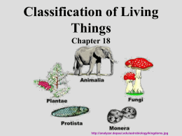 Classification Chapter 18 - Forest Hills School District