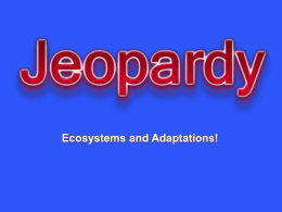 powerpoint jeopardy - Sope Creek Elementary