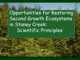 Alaback – Opportunities for Restoring Second Growth Ecosystems