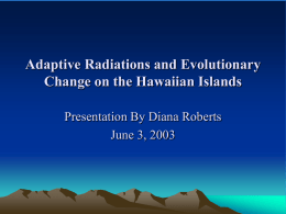 Adaptive Radiations on Islands, and Evolutionary Change