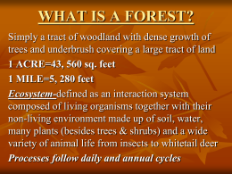 what is a forest? - Central Columbia School District