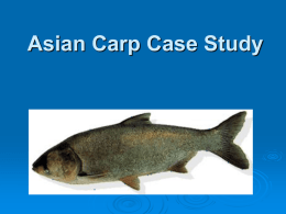 Asian Carp Case Study - Dearborn High School