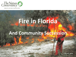 Fire in Florida And Community Succession