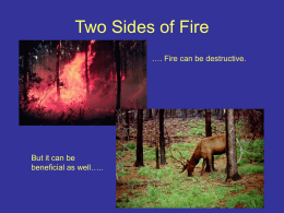 Two Sides Of Fire - Delaware ENVIROTHON