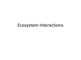 Ecosystem Interactions