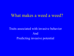 What makes a weed a weed?