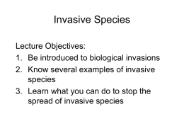 Invasive Species