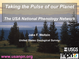 What is the USA National Phenology Network?