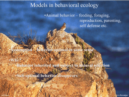 Models in behavioral ecology