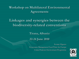 Workshop on Multilateral Environmental Agreements Linkages and