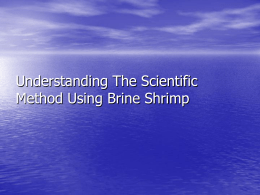 Understanding The Scientific Method Using Brine