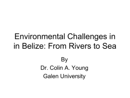 Conservation in Belize: A brief History