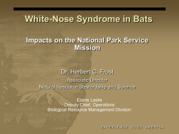 White-Nose Syndrome in Bats: Impacts on the National Park Service