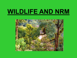 2_nrm and wildlife_9,52,53