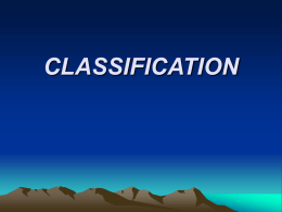 Classification & Phylogeny