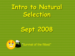 Intro to Natural Selection Sept 2008