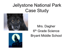 Jellystone National Park Problem Outline